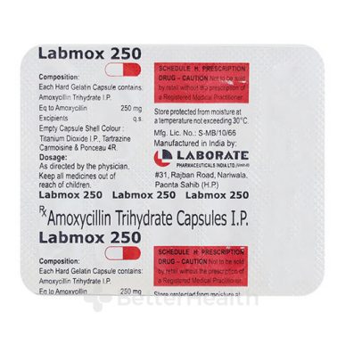 ラボモックス - アモキシシリン（Labmox - Amoxicillin）